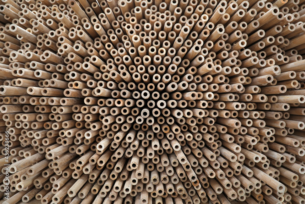 Naklejka premium Cross section pattern of wooden spade handle