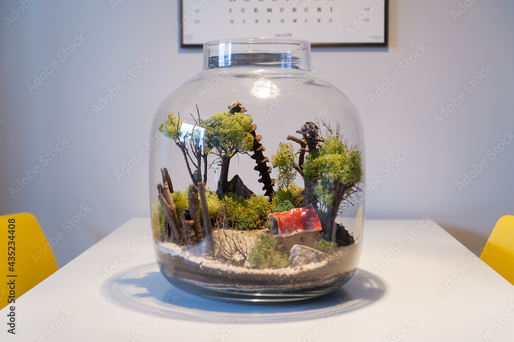 Small decoration plants in a glass bottle, garden terrarium bottle, forest in a jar. Terrarium jar with piece of forest with self ecosystem. Save the earth concept. Bonsai, set of terrariums, jars