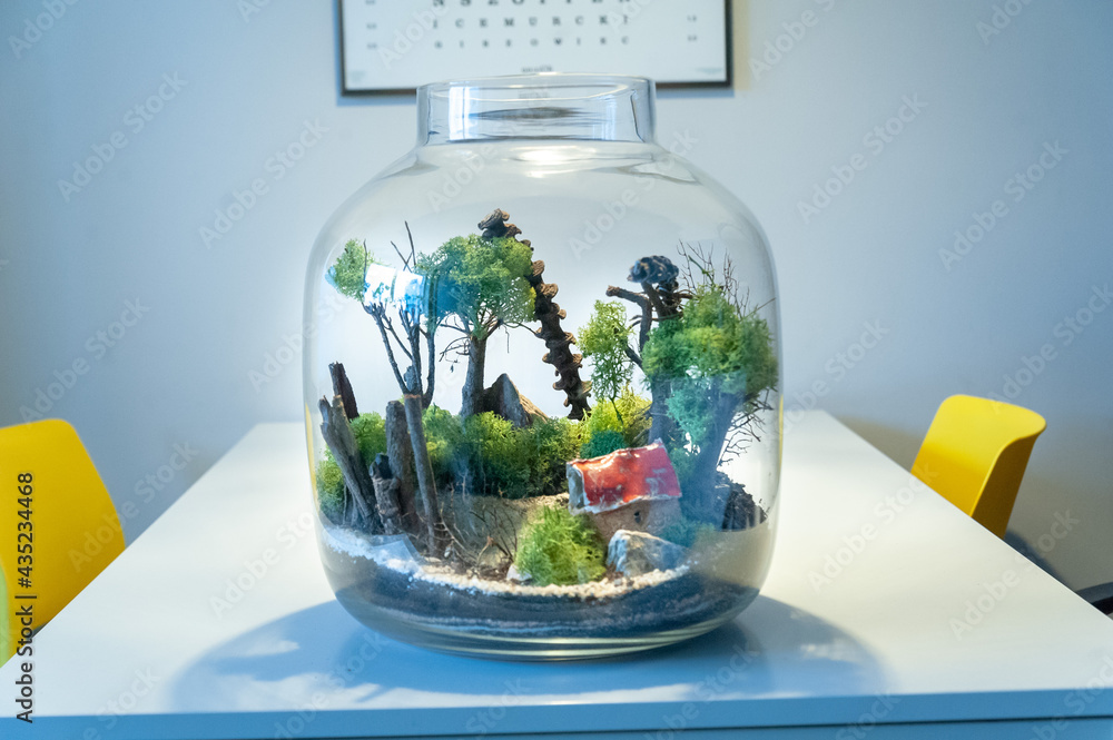Small decoration plants in a glass bottle, garden terrarium bottle, forest in a jar. Terrarium jar with piece of forest with self ecosystem. Save the earth concept. Bonsai, set of terrariums, jars