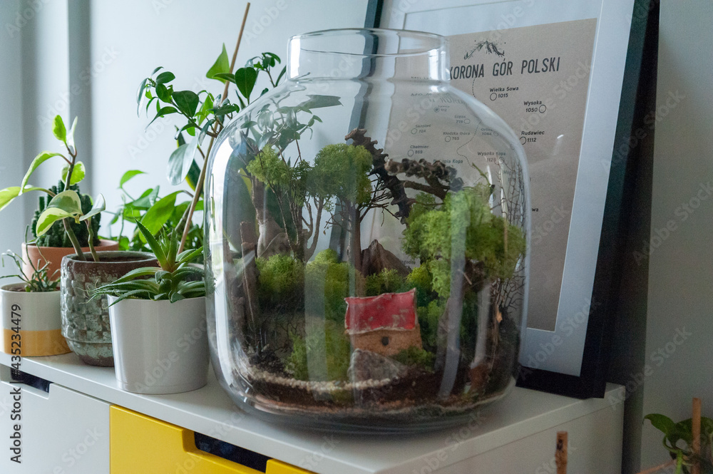 Small decoration plants in a glass bottle, garden terrarium bottle, forest in a jar. Terrarium jar with piece of forest with self ecosystem. Save the earth concept. Bonsai, set of terrariums, jars