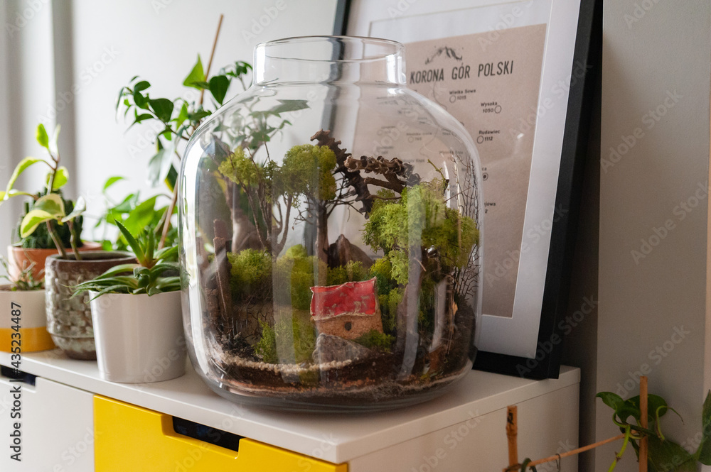 Small decoration plants in a glass bottle, garden terrarium bottle, forest in a jar. Terrarium jar with piece of forest with self ecosystem. Save the earth concept. Bonsai, set of terrariums, jars
