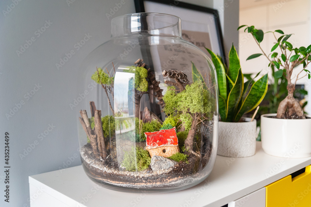 Small decoration plants in a glass bottle, garden terrarium bottle, forest in a jar. Terrarium jar with piece of forest with self ecosystem. Save the earth concept. Bonsai, set of terrariums, jars