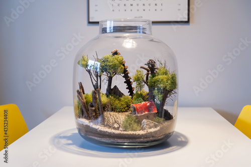 Obraz na płótnie Small decoration plants in a glass bottle, garden terrarium bottle, forest in a jar. Terrarium jar with piece of forest with self ecosystem. Save the earth concept. Bonsai, set of terrariums, jars w salonie