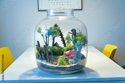 Obraz na płótnie Small decoration plants in a glass bottle, garden terrarium bottle, forest in a jar. Terrarium jar with piece of forest with self ecosystem. Save the earth concept. Bonsai, set of terrariums, jars w salonie
