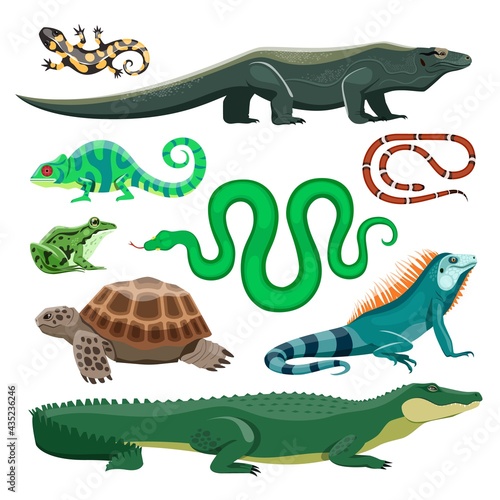 Reptiles and amphibians. Lizard, crocodile and turtle, snake and iguana, salamander and frog, chameleon. Terrarium pet reptile, pond animals vector set. Tropical or wildlife natural fauna characters