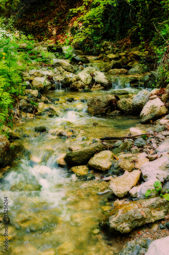 Beautiful river flowing over rocks and through forest nature. Green trees, fast river stream. 
