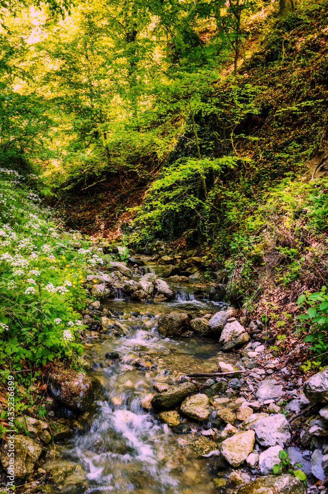 Beautiful river flowing over rocks and through forest nature. Green trees, fast river stream. Beautiful river flowing over rocks and through forest nature. Green trees, fast river stream.