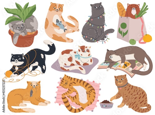 Cats. Cute fluffy kitty playing with yarn or toys, sleeping in bed, sitting in plant pot. Cartoon playful pet animal character vector set. Purebred kittens in different poses with fish, mouse