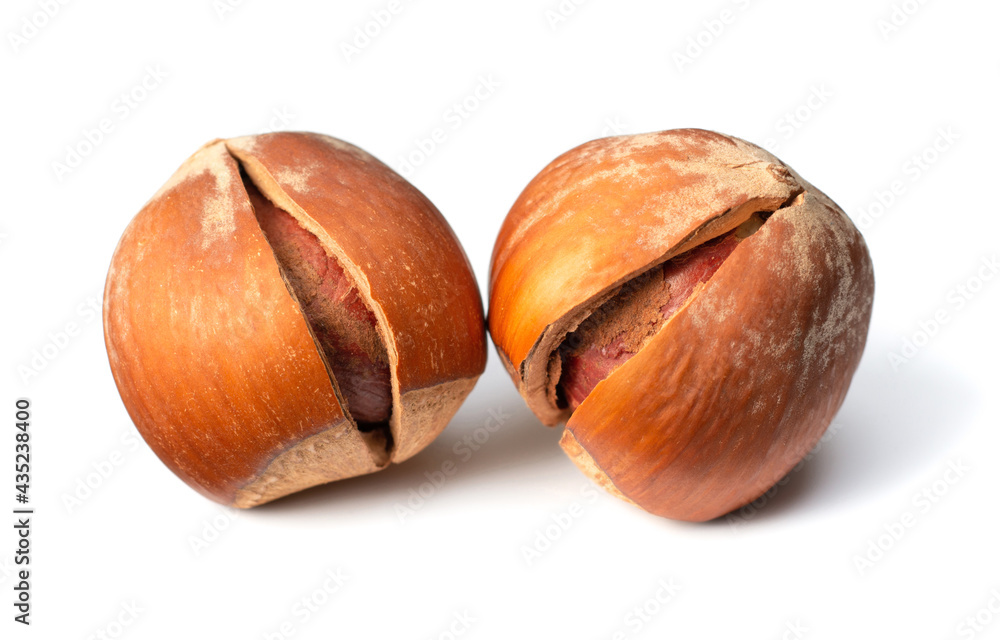whole hazelnuts isolated on white background whole hazelnuts isolated on white background