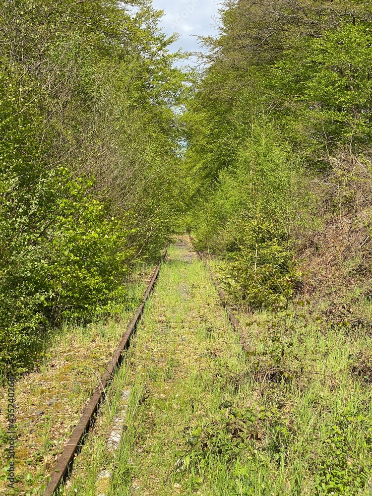 landschaft, natur, road, bahn, baum, bahn, wald, himmel, bahn, sommer, gras, bahn, green, berg, bäuerlich, baum, anreisen, zug, hills, way, frühling, bahn, land, transport, holz landschaft, natur, road, bahn, baum, bahn, wald, himmel, bahn, sommer, gras, bahn, green, berg, bäuerlich, baum, anreisen, zug, hills, way, frühling, bahn, land, transport, holz