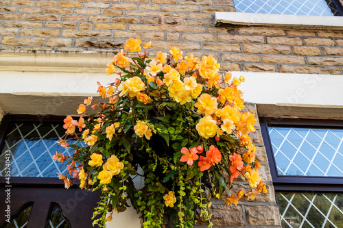 Basket of trailing begonias outside old stone built house.