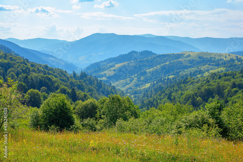 Fototapeta Naklejka Na Ścianę i Meble -  countryside landscape in summer. beautiful nature scenery with meadows on the hills rolling in to the distant valley. wonderful sunny weather