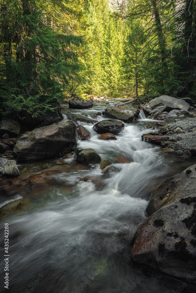 Flowing creek in Glacier National Park, Montana in a long exposure, long shutter speed, high resolution, landscape photography picture in portrait orientation. Flowing creek in Glacier National Park, Montana in a long exposure, long shutter speed, high resolution, landscape photography picture in portrait orientation.