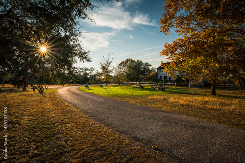 Fredericksburg farm road in autumn