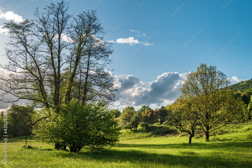 Obraz premium Sonne und Regen in den Abendstunden in Bad Orb
