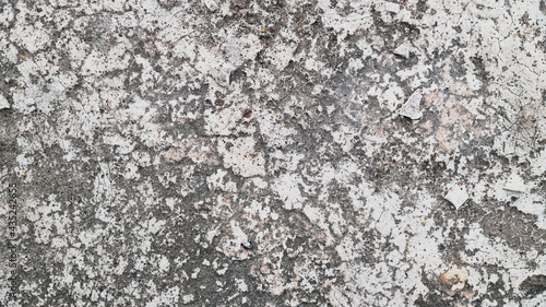 Texture of old white concrete wall for background. abstract grey for background. gray background Wall texture