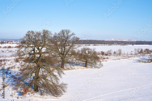Landschaft mit Bäumen am Ufer des Flusses Elbe nahe dem Ort Glindenberg im Winter