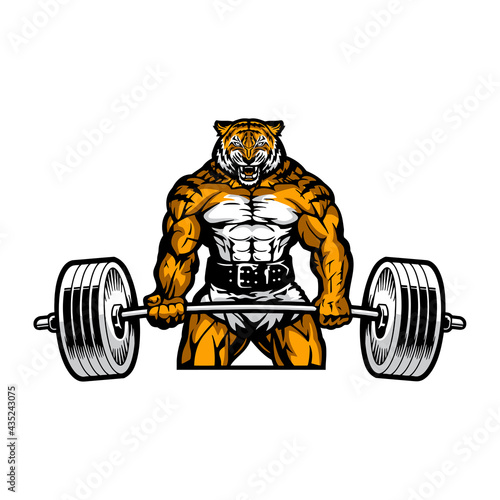 wild muscular tiger with barbell, vector, logo, cartoon, mascot, character