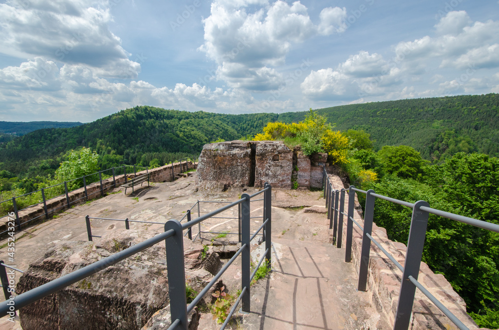 felsenburgruine falkenburg bei wilgartswiesen, aussicht