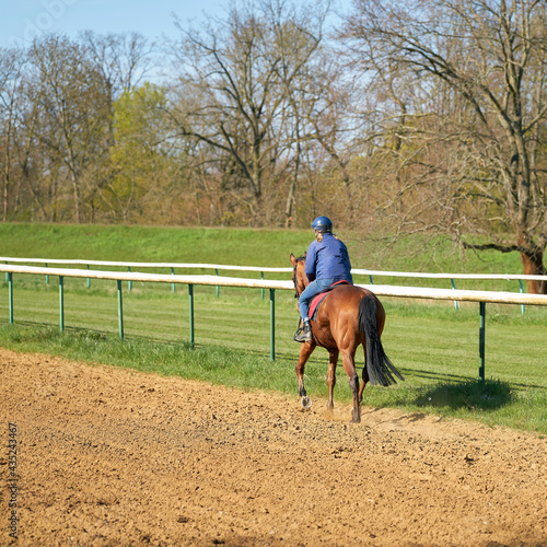 Horse and rider training on a racecourse near Magdeburg