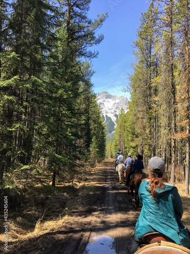 Quadro su tela A group of people riding horses during a guided tour in the forests of Kananaskis, in the Rocky Mountains, Alberta, Canada