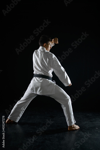Male karate fighter in a combat stance
