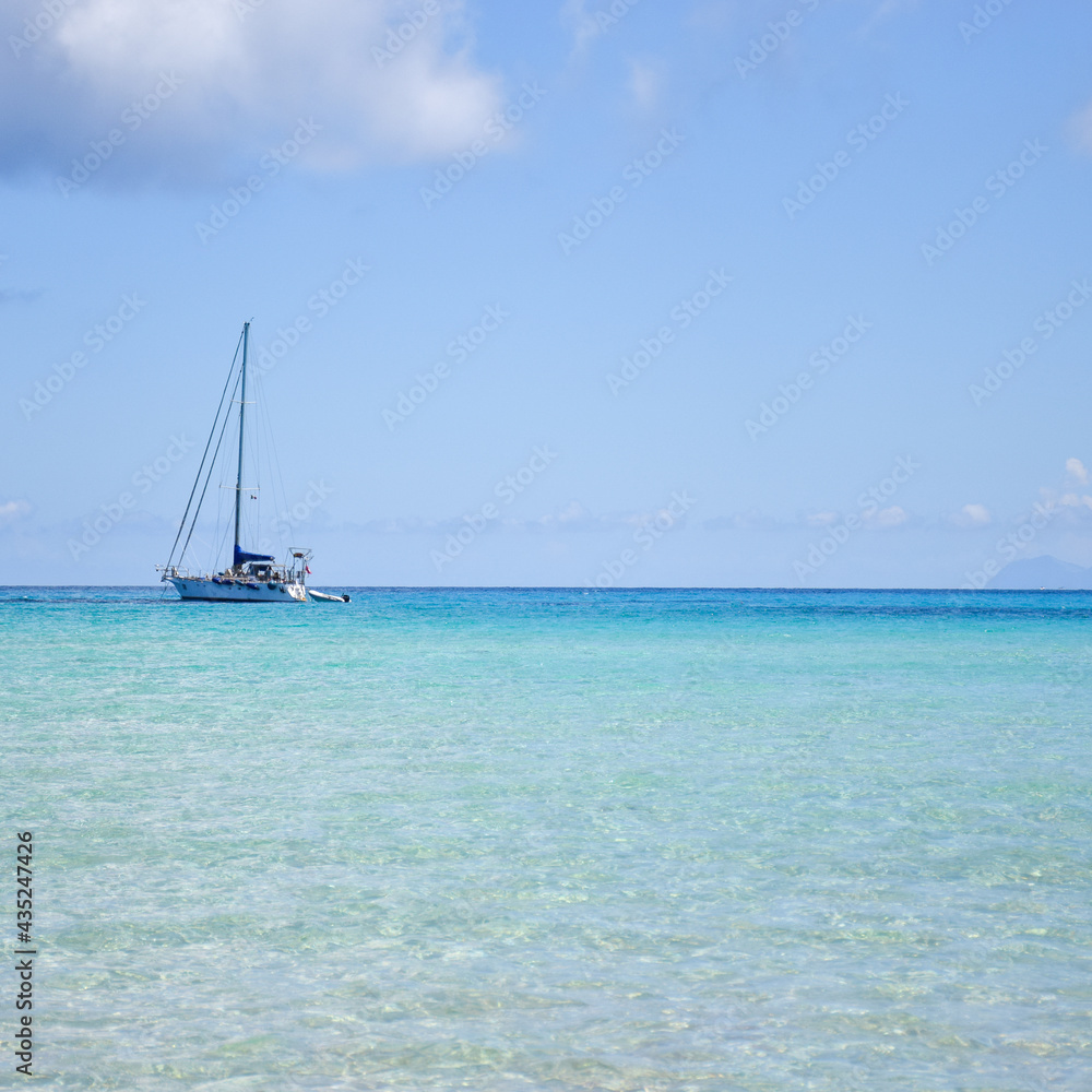 Obraz premium Beautiful island in taormina, surrounded by pink flowers and swallows. Isla bella en taormina, rodeada de flores rosas y golondrinas.