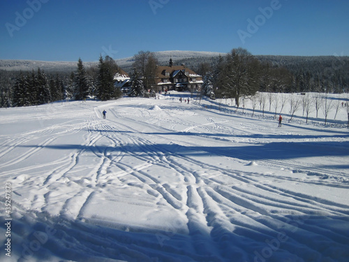 Wooden cottage in a winter landscape, cross-country skiers, snow, forest, sports