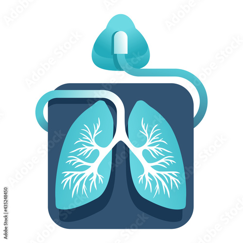 Ventilator for mechanical ventilation of lungs