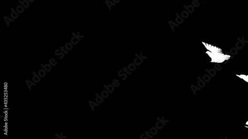 Flock swallow bird flying on the sky.Animal element on black background and alpha matte with 3d rendering.