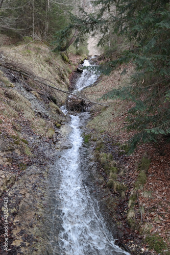 waterfall in the forest