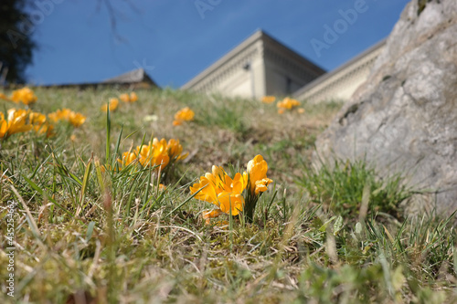 spring in the mountains