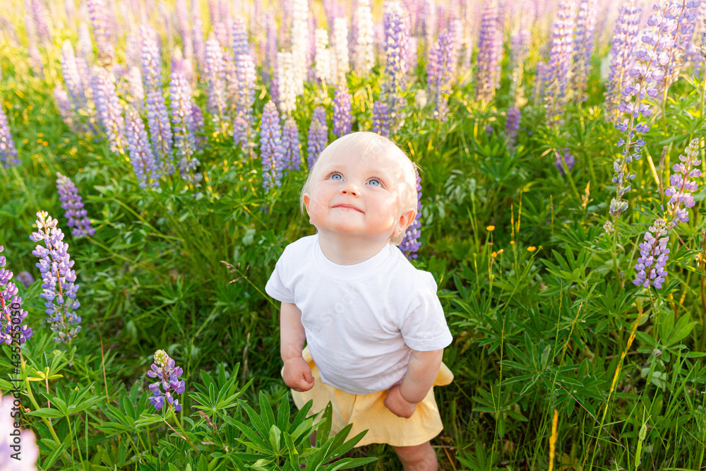 Happy little girl smiling outdoor. Beautiful blond young baby girl resting on summer field with blooming wild flowers green background. Free happy kid childhood concept. Positive toddler child - obrazy, fototapety, plakaty 