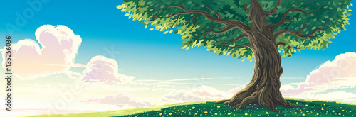 Summer landscape with old lone tree in the foreground.