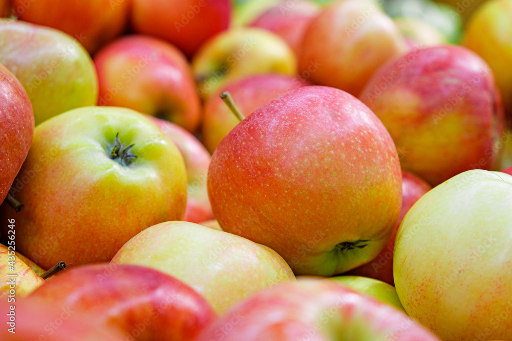 Red apples of the Jonagold variety on the counter of the farmers market. Jonagold apple-tree of American selection with fruits of late winter period. Natural products, seasonal fruits, local food. Red apples of the Jonagold variety on the counter of the farmers market. Jonagold apple-tree of American selection with fruits of late winter period. Natural products, seasonal fruits, local food.
