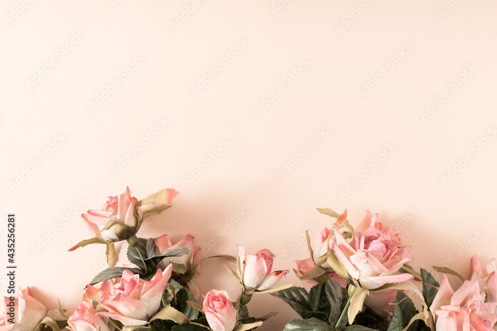White pale pink roses on beige backgrounds. Romantic flower summer concept with copy space. White pale pink roses on beige backgrounds. Romantic flower summer concept with copy space.