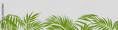 Summer horizontal seamless banner with exotic leaves. Tropical palm leaf border. Editable vector pattern. photo