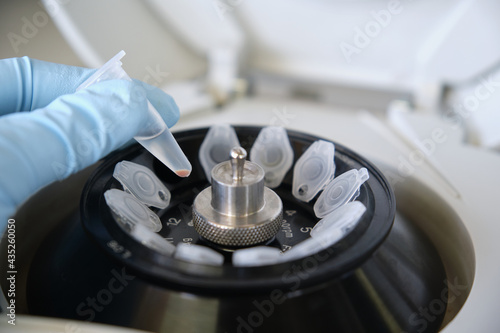 Tableau sur toile Close up of a researcher hand with glove holding a small eppendorf tube with a pellet over a mini centrifuge in a laboratory