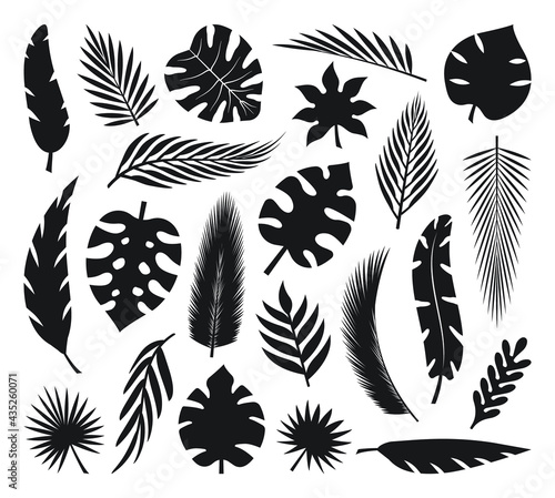 Set of tropical leaves silhouettes. Collection palm leaves. Jungle exotic leaves and botanical plants. Vector illustration.