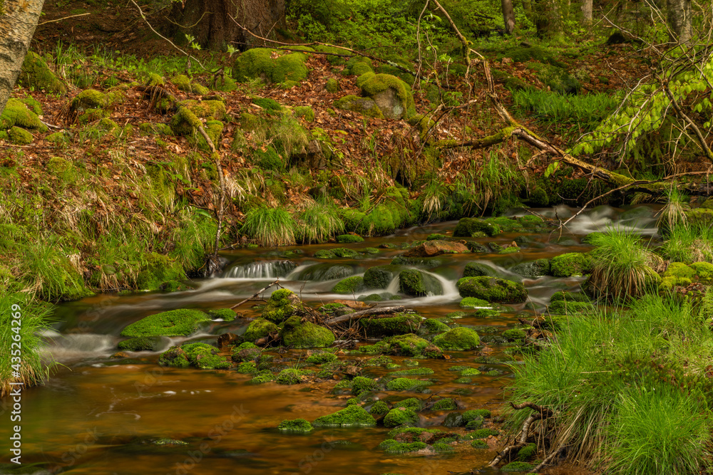 Skrivan color creek in Krusne mountains in spring morning after rain Skrivan color creek in Krusne mountains in spring morning after rain