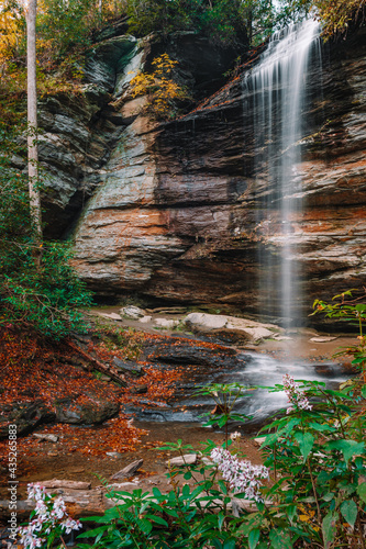 Fototapeta Naklejka Na Ścianę i Meble -  Moore Cove Falls, a waterfall, surrounded by scattered golden leaves, wildflowers and colorful fall foliage in Pisgah National Forest, Transylvania County 