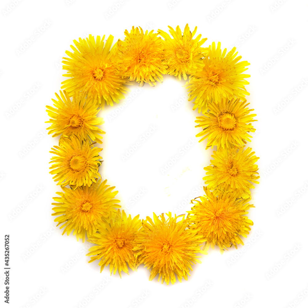The letter O of yellow dandelions The letter O of yellow dandelions