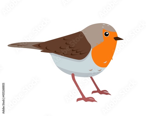 Cute European Robin bird icon isolated on white