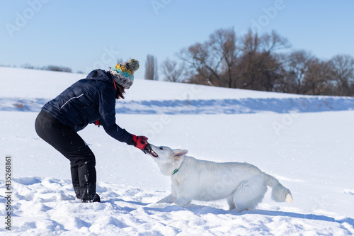 Pies w śniegu, biały owczarek szwajcarski zimą, zabawa 