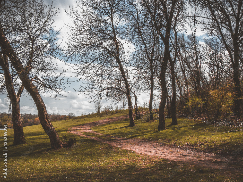 Fototapeta premium Природа / Nature