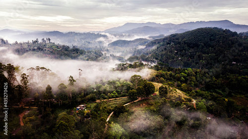 Aerial sunrise over a misty mountain range. Foggy landscape at dawn in Sri Lanka, Srilanka mountains