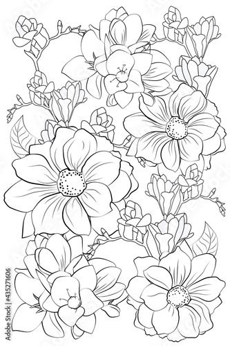 Adult Coloring book. Freesias and dahlias in floral garden. Floral Line art design for adult or kids.