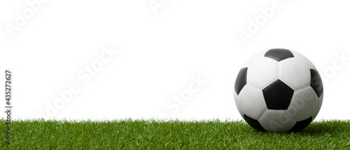 Soccer ball on green grass.  Professional sport concept. Horizontal sport poster  greeting cards  headers  website