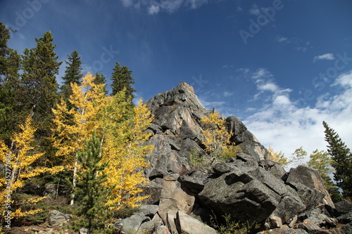 Fall colors in Bighorn Mountains, Wyoming © Nikki