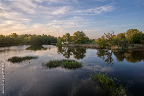 reflection of trees in the water © Николай Мороз